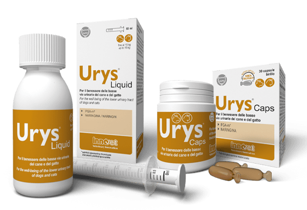 URYS LIQUID 60ML