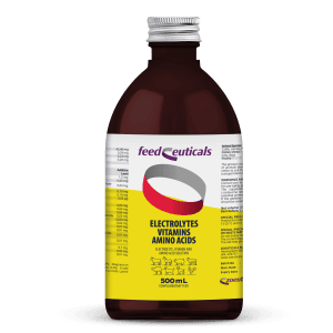 ELEKTROLITI-VITAMINI- AMINOKISLINE RAZTOPINA500ML
